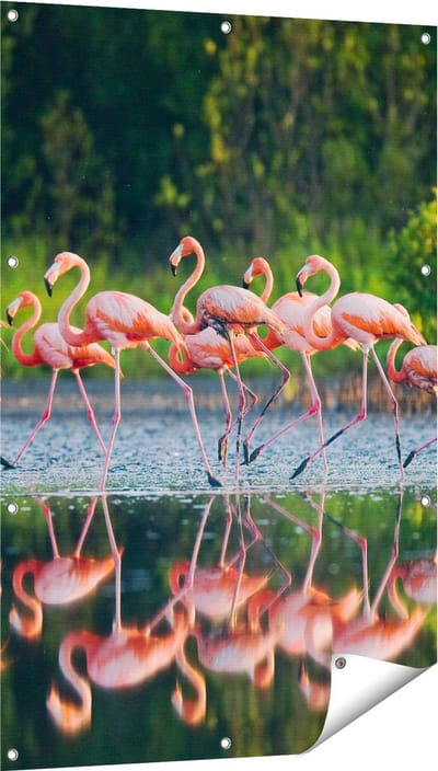 Gards Tuinposter Kudde Flamingo's op het Water - 80x120 cm - Tuindoek - Tuindecoratie - Wanddecoratie buiten - Tuinschilderij