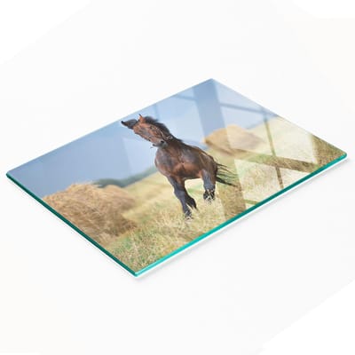 Multifunctionele decoratieve glazen snijplank voor de keuken met afbeelding van een galopperend paard, 80x52 cm