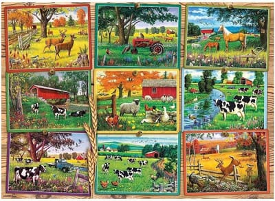 Boerderij Puzzel - 1000 Stukjes Puzzel - Ontspanning Thuis - Willekeurig Gesneden Stukjes - 68 x 49 cm - Meerdere Kleuren