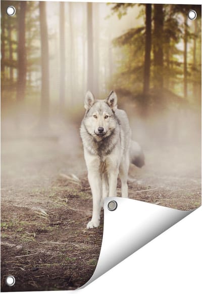 Gards Tuinposter Grijze Wolf in het Bos - 40x50 cm - Tuindoek - Tuindecoratie - Wanddecoratie buiten - Tuinschilderij