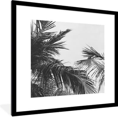 Fotolijst incl. Poster - Palmbladeren - Natuur - Vintage - Palmboom - 40x40 cm - Posterlijst