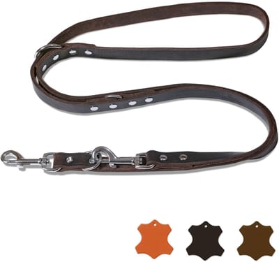 Dailygoods- Hondenriem 2 meter - Verstelbaar - Leren Riempje - Duurzaam - Geschikt voor Kleine/Middelgrote/Grote Honden - Comfortabel in de Hand - Hondensnoer