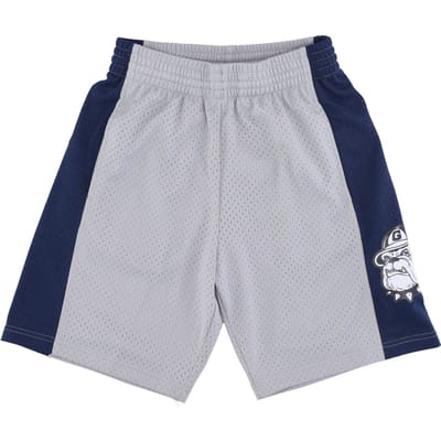 Basketbalshort heren NCAA Swingman Light Shorts Geohoy Chroom