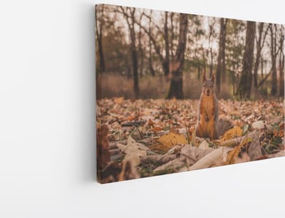 Saammp Canvas Schilderij - Eekhoorn tussen de bladeren - Natuur - Dieren - 45x30 - Foto op canvas - Wanddecoratie - Muurdecoratie Woonkamer - Slaapkamer decoratie - Canvas Print