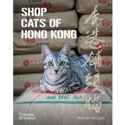 Shop Cats Of Hong Kong - Marcel Heijnen