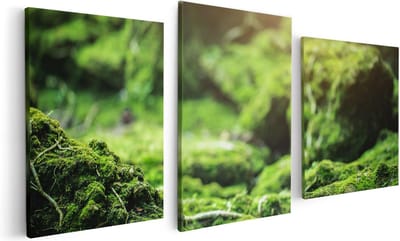 Artaza Canvas Schilderij Drieluik Groen Mos Bedekt over Stenen - 120x60 - Foto Op Canvas - Canvas Print