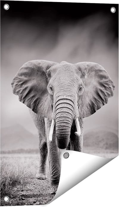 Gards Tuinposter Olifant - Zwart Wit - 40x60 cm - Tuindoek - Tuindecoratie - Wanddecoratie buiten - Tuinschilderij