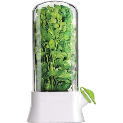 Herb Saver Opslagcontainer Groente Conserveerfles Verse Kruidenbewaarder voor Keuken Bewaren Koriander Munt Peterselie Asperges wit