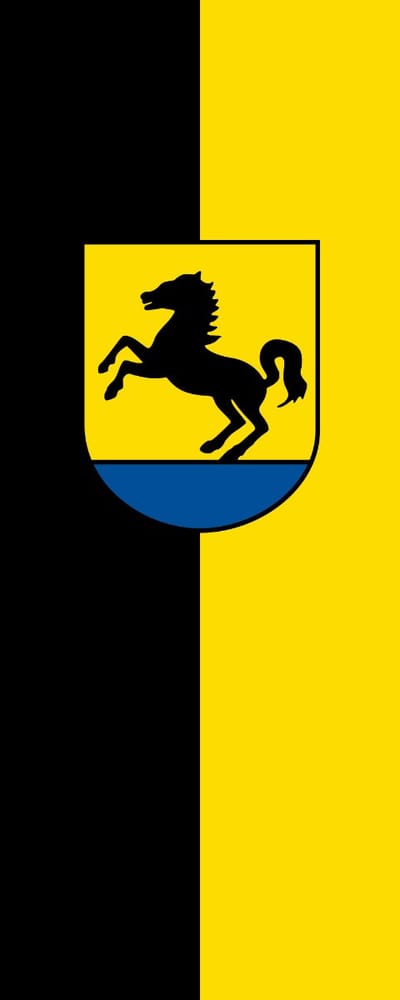 Vlag Bad Rappenau 100x150cm