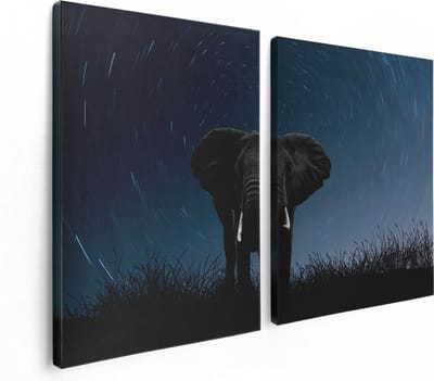 Artaza Canvas Schilderij Tweeluik Olifant Omringd Met Sterren  - 120x80 - Foto Op Canvas - Canvas Print