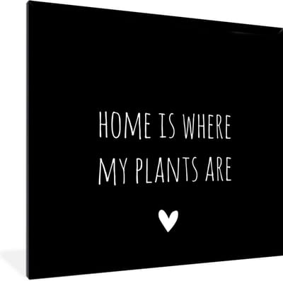 Fotolijst incl. Poster - Engelse quote "Home is where my plants are" met een hartje tegen een zwarte achtergrond - 40x40 cm - Posterlijst