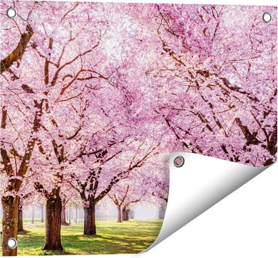 Gards Tuinposter Roze Bloesembomen Park - Bloemen - 50x40 cm - Tuindoek - Tuindecoratie - Wanddecoratie buiten - Tuinschilderij