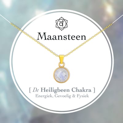 Bixorp Maansteen Rondje Ketting - S925 Zilveren Ketting - Facetgeslepen Ronde Edelsteen Hanger - Minimalistische Bedel - 45cm + 5cm verstelbaar