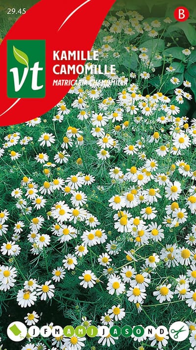 Moerasmargriet Pure White Zaden - Prachtige Witte Bloemen voor Natte Gronden