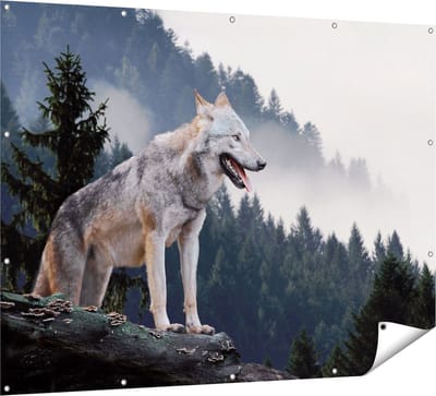 Gards Tuinposter Grijze Wolf in de Bossen - 160x120 cm - Tuindoek - Tuindecoratie - Wanddecoratie buiten - Tuinschilderij