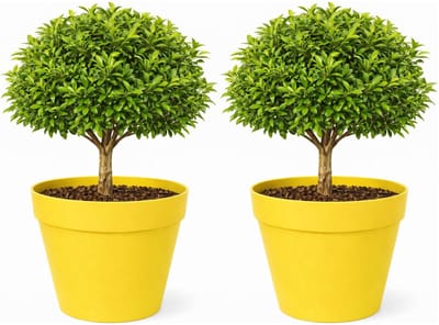 Mega Collections Plantenpot / bloempot - 2x - kunststof - geel - binnen/buiten - D39 x H35 cm