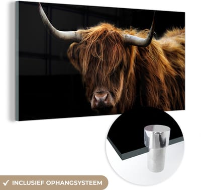 Glasschilderij Schotse Hooglander - Horens - Zwart - Dieren - Koe - Woonkamer - 40x20 cm - Foto op glas - Wanddecoratie glas - Kamer decoratie