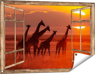 Gards Tuinposter Doorkijk Giraffe Kudde bij Zonsondergang - 90x60 cm - Tuindoek - Tuindecoratie - Wanddecoratie buiten - Tuinschilderij