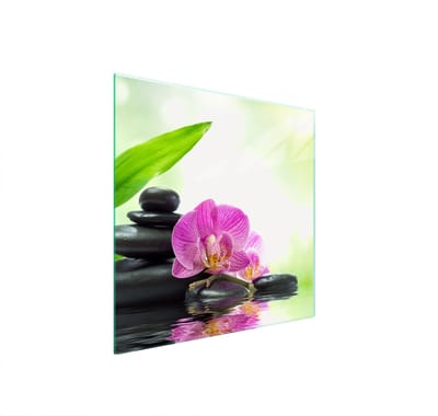 TMK ArtDeko Serie - Glas Beschermplaat - 50x52 cm - Orchidee Ontwerp