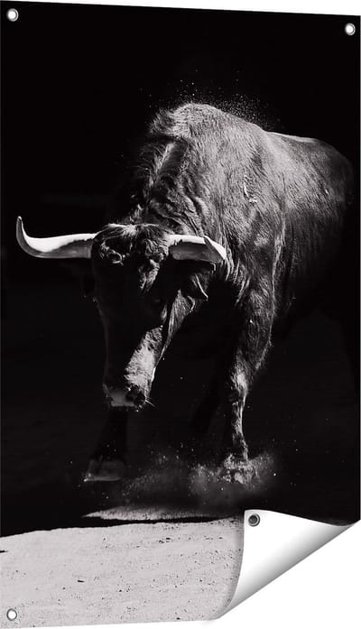 Gards Tuinposter Stier in de Arena - Zwart Wit - 60x90 cm - Tuindoek - Tuindecoratie - Wanddecoratie buiten - Tuinschilderij