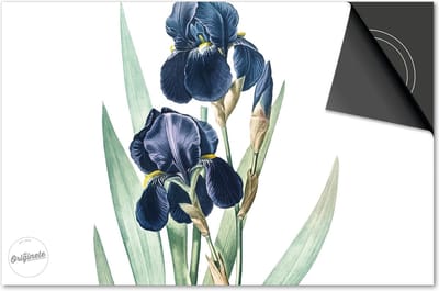Inductie beschermer 60x60 - afdekplaat inductie mat - Dietrix Kookplaat beschermer - Exclusief - Botanical - Viool blauw