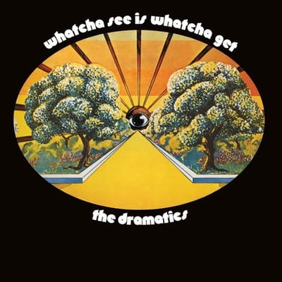 The Dramatics - Whatcha See Is Whatcha Get (LP)