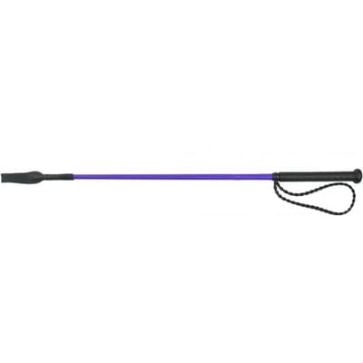 Paardrijzweep Whip & Go Twist