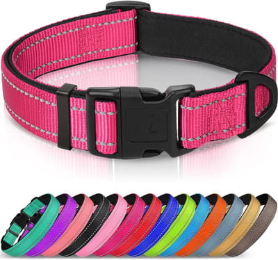 Hondenhalsband met Veiligheidsgesp, Reflecterende Verstelbare Halsbanden met Zachte Neopreen Vulling Huisdier, Veiligheidskraag voor Kleine Honden Huisdieren, XS, Fel Roze