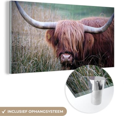 MuchoWow® Glasschilderij 40x20 cm - Schilderij acrylglas - Schotse Hooglander - Hoorns - Gras - Foto op glas - Schilderijen