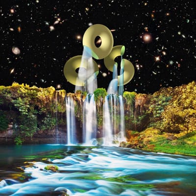 Orchestra Of Spheres - Vibration Animal (LP)