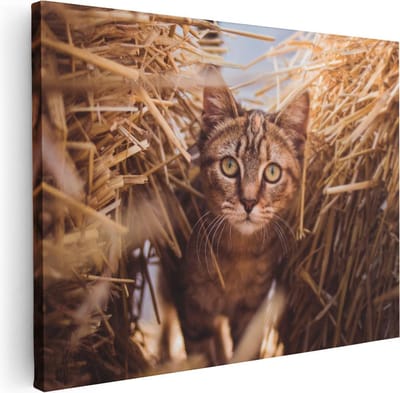 Artaza Canvas Schilderij Poes In Hooi - 40x30 cm - Klein - Wanddecoratie Katten - Muurdecoratie Dierenkop - Kamer Accessoires