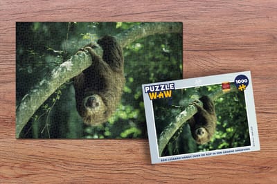 Puzzel Een luiaard hangt over de kop in een groene omgeving - Legpuzzel - Puzzel 1000 stukjes volwassenen