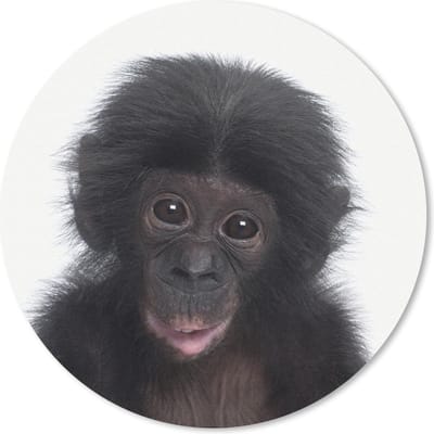 Muismat rond 20x20 cm - Mousepad Chimpansee - Dieren - Roze - Ronde muismatten