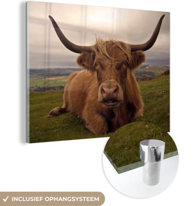 MuchoWow® Glasschilderij 160x120 cm - Schilderij acrylglas - Schotse Hooglander - Dieren - Berg - Foto op glas - Schilderijen