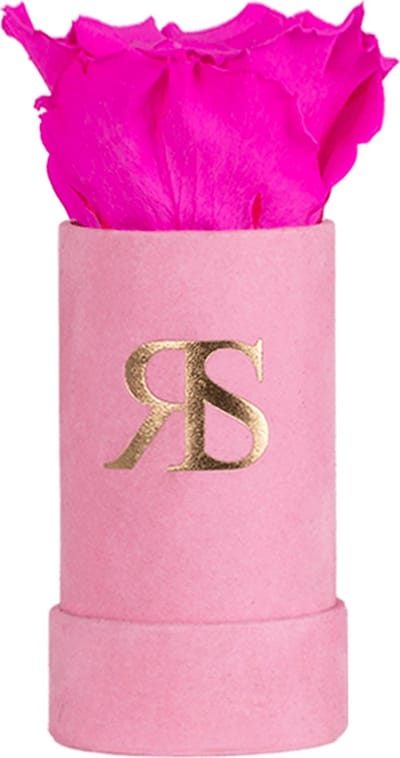 Flowerbox Longlife Ivy "You Are Delicious" Donker Roze – Rosuz - Luxe Cadeau Verpakt - Echte Longlife Roos in Box - Perfect Valentijnsdag Cadeautje voor Haar