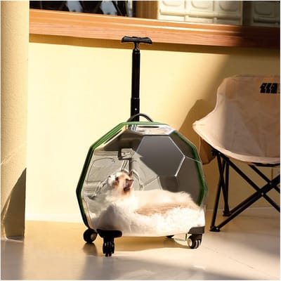 Huisdier Trolley Koffer - Reismand Kat - Huisdier Vervoer - Volledig Ademend - 44 x 31 x 40 cm - Groen