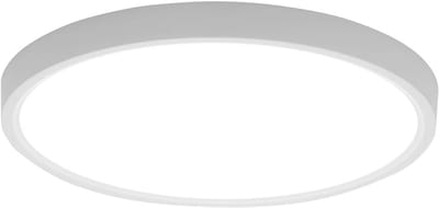 Ronde LED Plafondlamp met Bewegingsmelder en Afstandsbediening - Dimbare Kleurtemperatuur (Warmwit tot Koudwit)