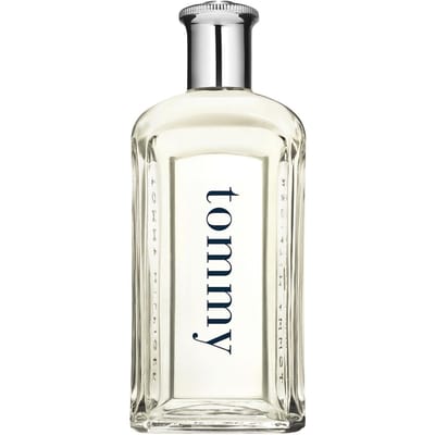 Tommy Hilfiger Eau de Toilette Nevel Herenparfum Heren 100 ml