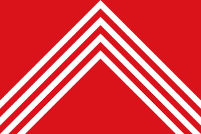 Vlag Brakel 100x150cm