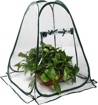 Mini Kas - Plant Cover - Planten Beschermen - Pop-up Ontwerp - 70x70x80cm - Transparant