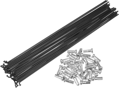 Dailygoods - Fiets Spaken Set - Koolstofstaal - 36 Stuks - 14G 244mm - Voor Wielopbouw - Zwart - Geschikt voor Fietsen