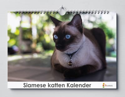 Siamese kat verjaardagskalender | 35 X 24CM | Verjaardagskalender katten soort de Siamese kat | Verjaardagskalender Volwassenen