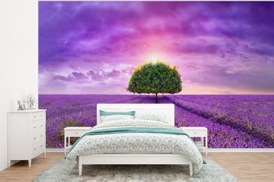 Behang - Fotobehang Lavendel - Boom - Paars - Wolken - Breedte 375 cm x hoogte 280 cm