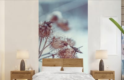 Behang - Fotobehang Planten - Winter - Sneeuw - Natuur - Breedte 120 cm x hoogte 240 cm