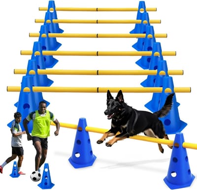 Sport Horden Set - Behendigheid Obstakels - Hondentraining Coördinatie - Flexibel In Hoogte - 6 Delig - Blauw Geel