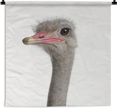 Wandkleed Animalprintshop - Struisvogel - Portret dierenprint kinderkamer Wandkleed katoen 120x120 cm - Wandtapijt met foto