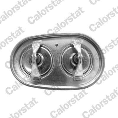 Thermostaat, koelvloeistof CALORSTAT BY VERNET TH7379.89.96J