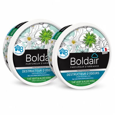 Boldair Geurverdrijver Gel Thé Vert & Aloe Vera 300 g - Set van 2 Stuks - Professionele Luchtverfrisser Geurneutralisator - 8 Weken Werking tot 30 m² - Made in France Grasse