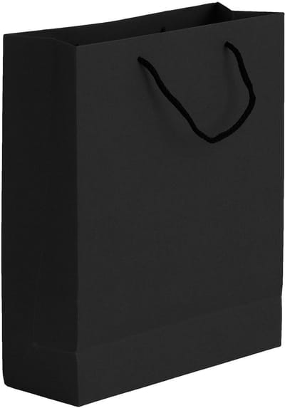 Dailygoody - Verdikte cadeauzakken - Papieren draagtassen - Zwart - Cadeautasjes voor levensmiddelen - 10 stuks - Geschikt voor wijn en champagne