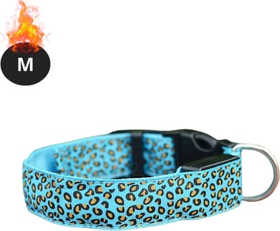 Bovista Lichtgevende Halsband - Verlichte Halsband - Lichtgevend - Hond - Kat - Lampje - Hondenhalsband Led - Oplaadbaar - Blauw - M